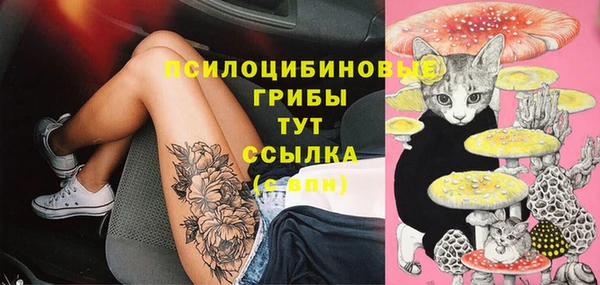 мет Арсеньев