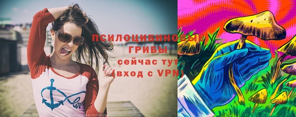 мет Арсеньев