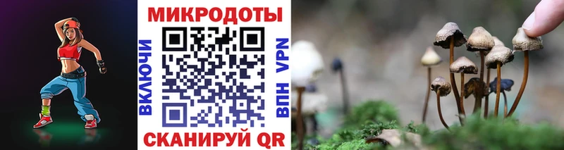 Купить  Суджа  Галлюциногенные грибы GOLDEN TEACHER 